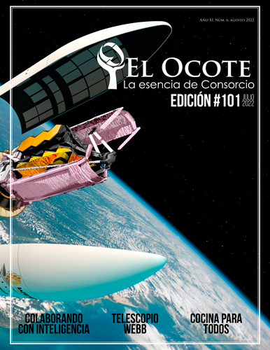 Portada de la edición 101 de la revista El Ocote